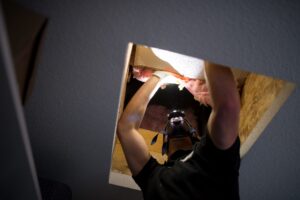 Attic Inspection
